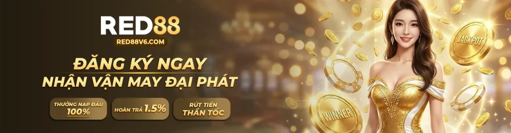 1920x500_banner_1 (1)