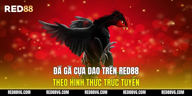 Đá Gà Cựa Dao Trên RED88 Theo Hình Thức Trực Tuyến 4 Đá Gà Cựa Dao Trên RED88 Theo Hình Thức Trực Tuyến
