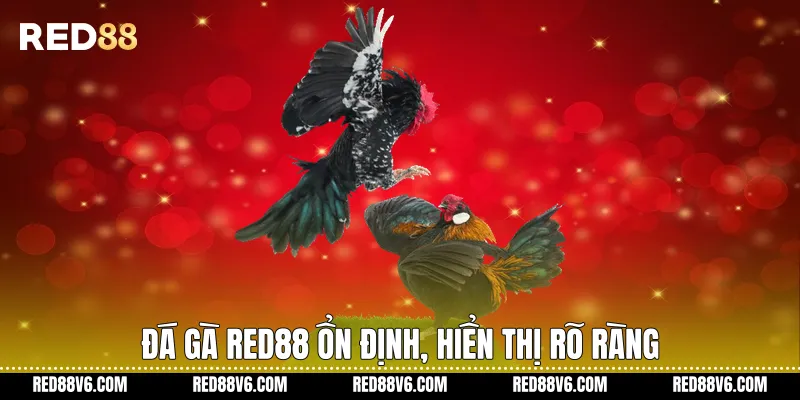 Đá Gà RED88 Trải Nghiệm Theo Dõi Ổn Định Và Hiện Đại 1 Đá gà RED88 ổn định, hiển thị rõ ràng