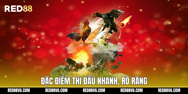 Đá Gà Cựa Dao Trên RED88 Theo Hình Thức Trực Tuyến 3 Đặc điểm thi đấu nhanh, rõ ràng