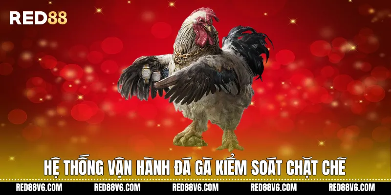 Đá Gà RED88 Trải Nghiệm Theo Dõi Ổn Định Và Hiện Đại 2 Hệ thống vận hành đá gà kiểm soát chặt chẽ