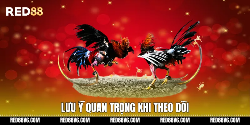 Lưu ý quan trọng khi theo dõi