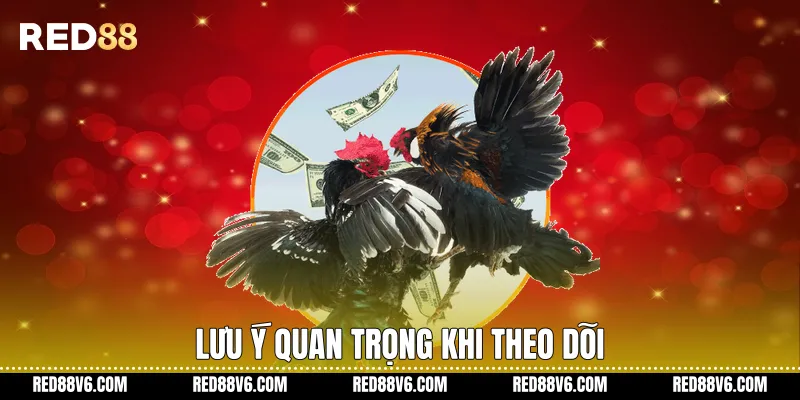 Đá Gà Cựa Dao Trên RED88 Theo Hình Thức Trực Tuyến 4 Lưu ý quan trọng khi theo dõi